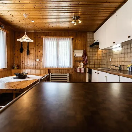 Haus Birchi, 3.5-zimmerwohnung Birchi Apartment *