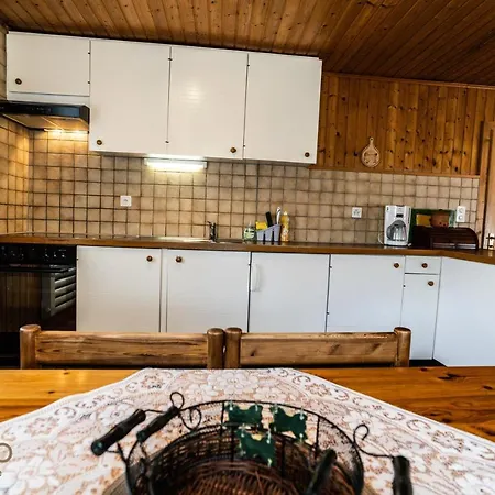 Haus Birchi, 3.5-zimmerwohnung Birchi Apartment